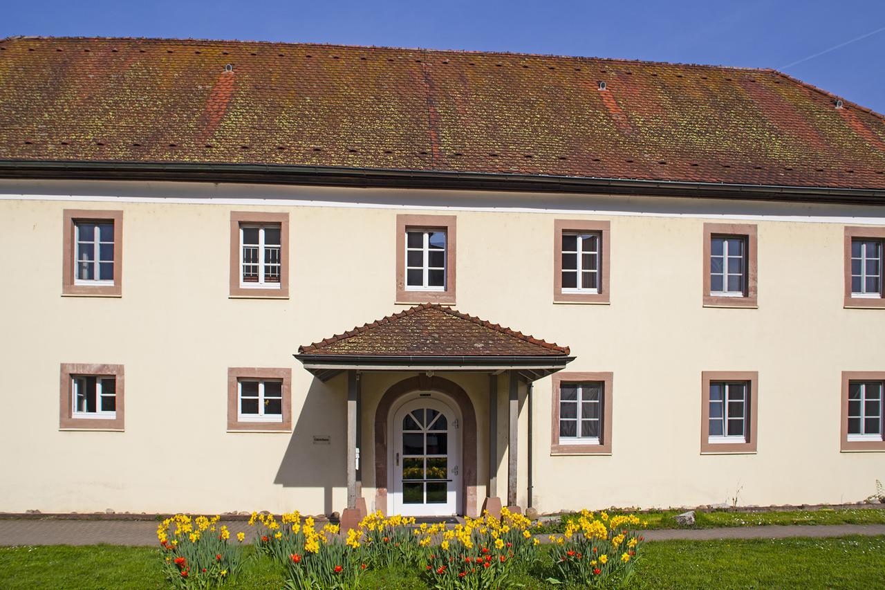 Schloss Beuggen Райнфелден Екстериор снимка