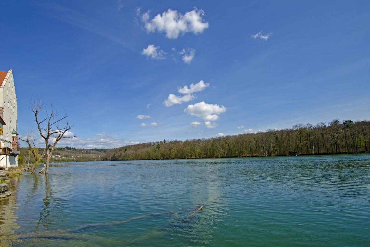 Schloss Beuggen Райнфелден Екстериор снимка